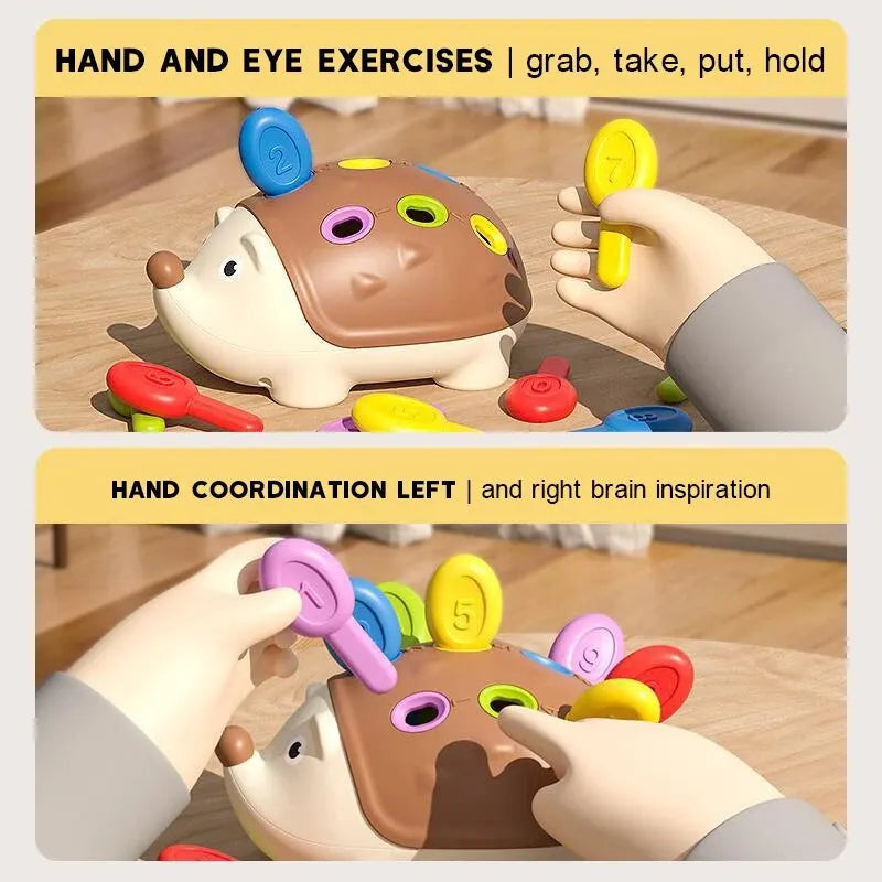 Hedgehog Montessori Toy-2